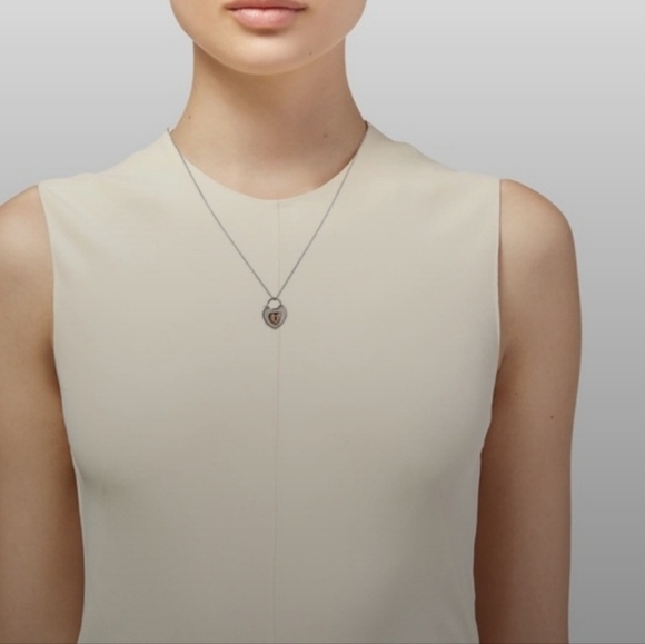 Authentic Tiffany & Co. Two Tone Silver & Rose Gold Heart Lock Pendant Necklace - Picture 2 of 4